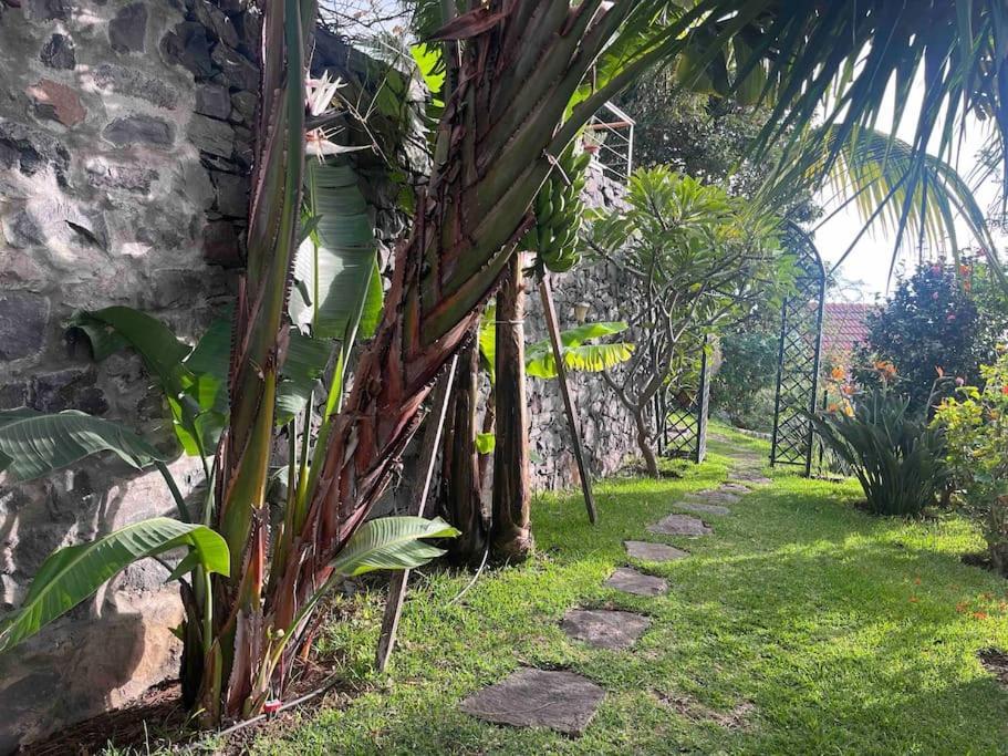 Lucky Lemons - Boutique Madeira Apartment Calheta (Madeira)