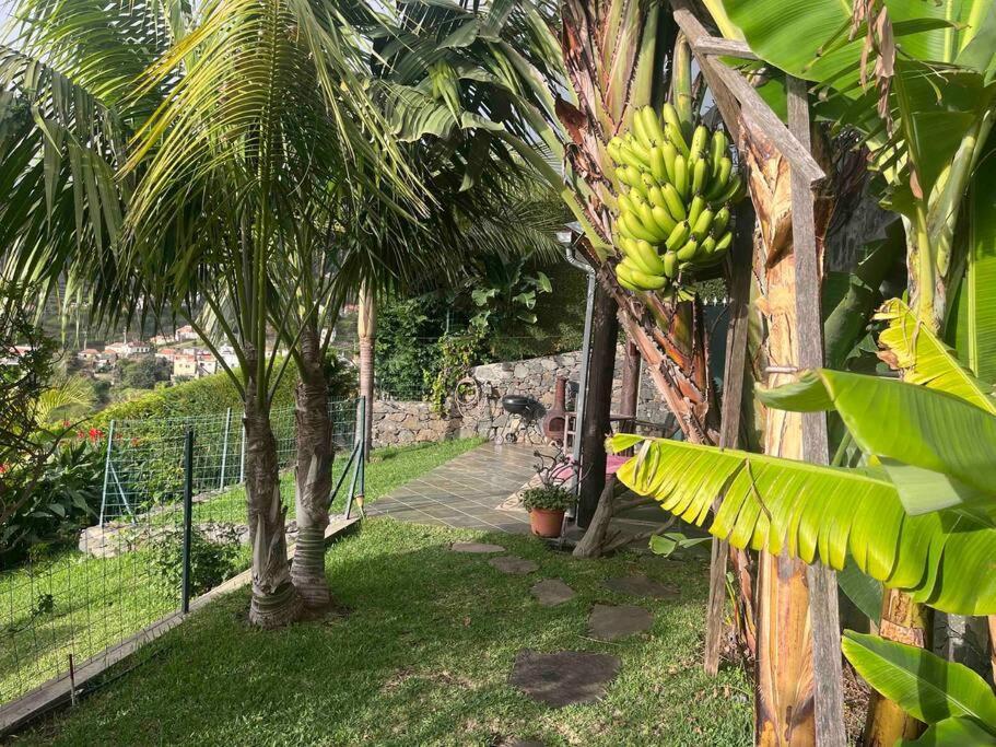Apartment Lucky Lemons - Boutique Madeira Calheta (Madeira)