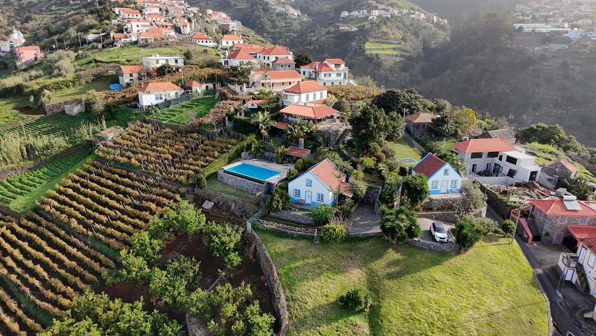 Apartment Lucky Lemons - Boutique Madeira Calheta (Madeira)